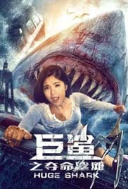 Killer Shark